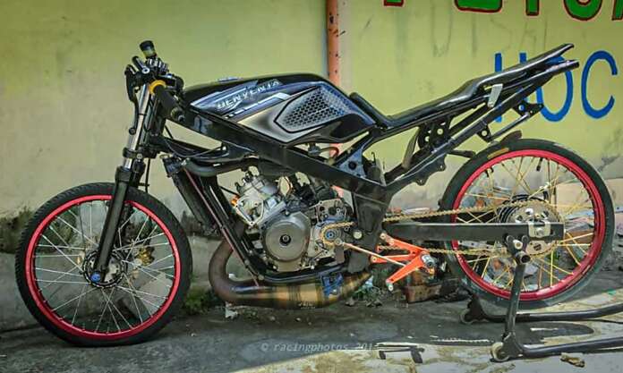 Ninja STD Denventa (1)