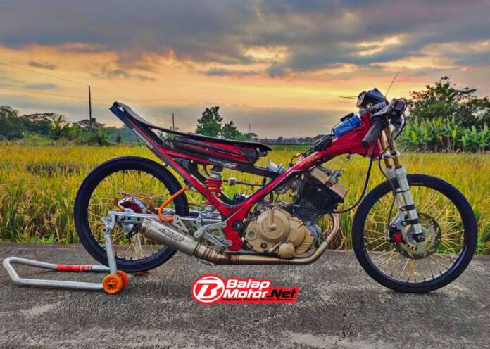 Fu Porting Sarine Lembu Boyolali